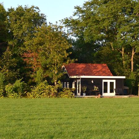 Prive In Een Bosrijke Omgeving Welkom Bij Gastenverblijf Het Ontsnapte Schaap In Jubbega エクステリア 写真