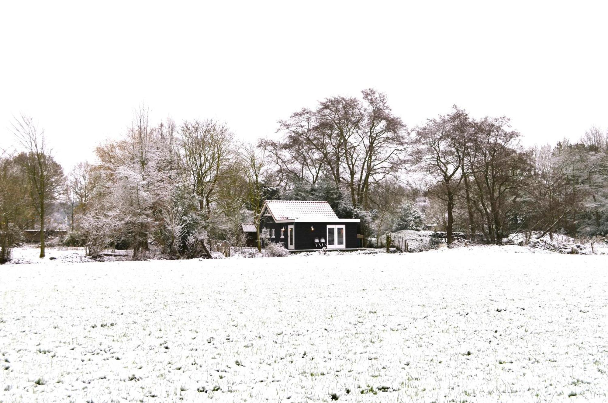 Prive In Een Bosrijke Omgeving Welkom Bij Gastenverblijf Het Ontsnapte Schaap In Jubbega エクステリア 写真